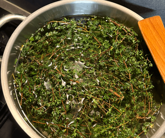 Sirop de Thym 