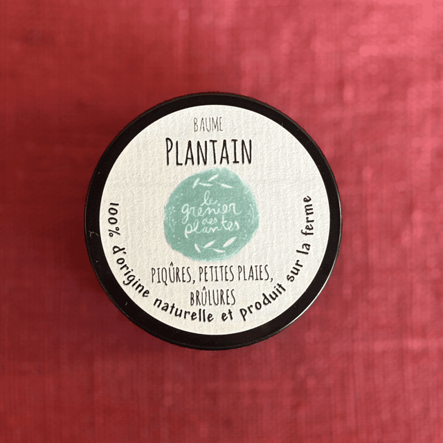 Baume Plantain 