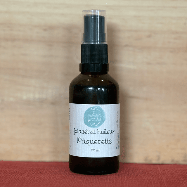 Macérât huileux de Pâquerette