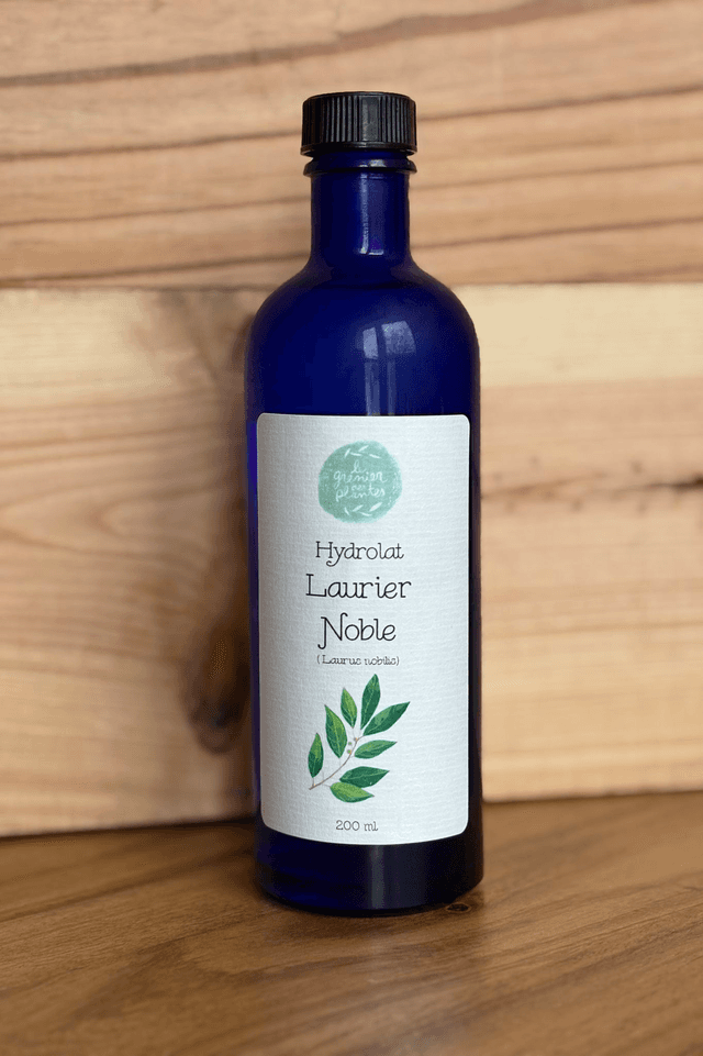 Hydrolat Laurier noble bio